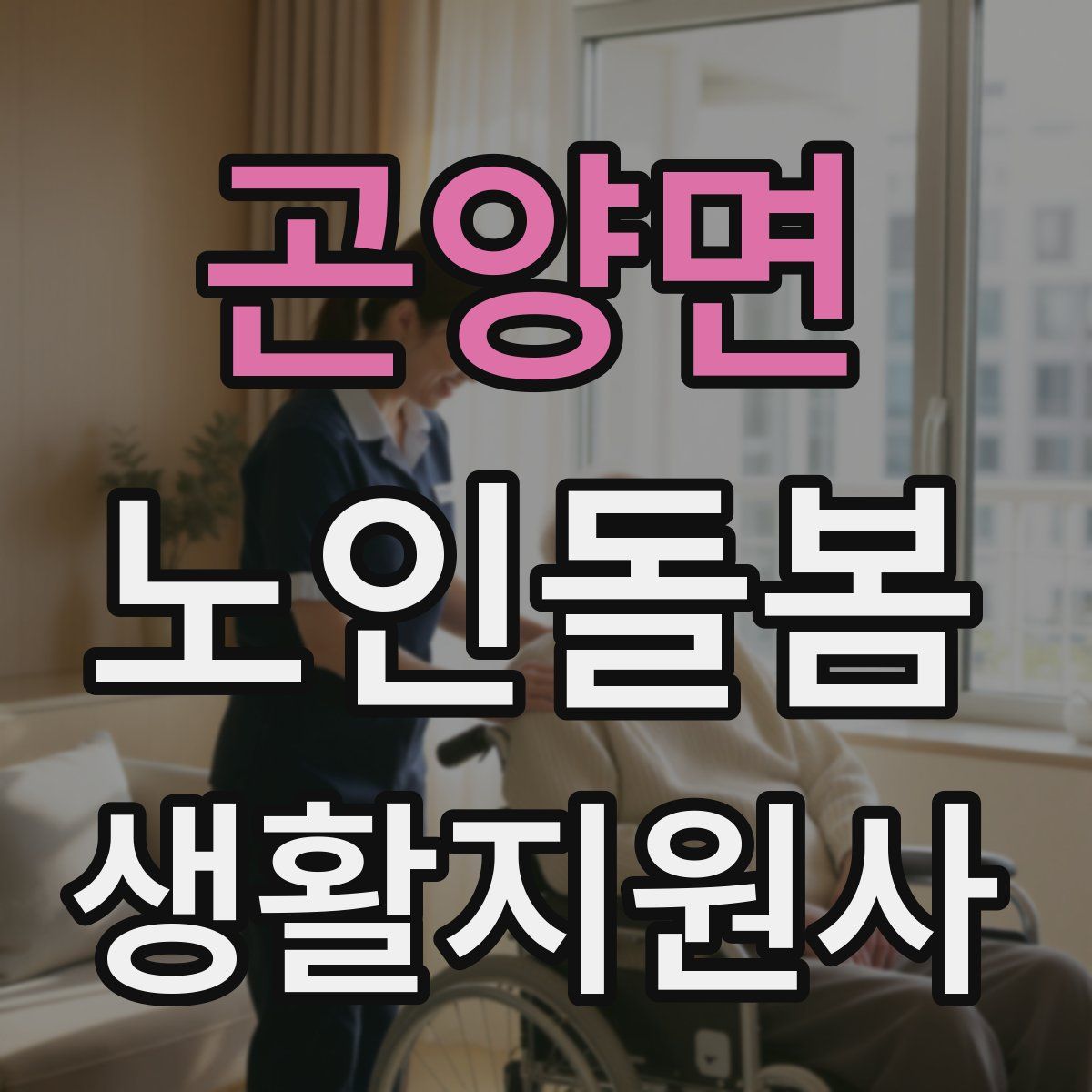 곤양면 노인돌봄생활지원사 자격증