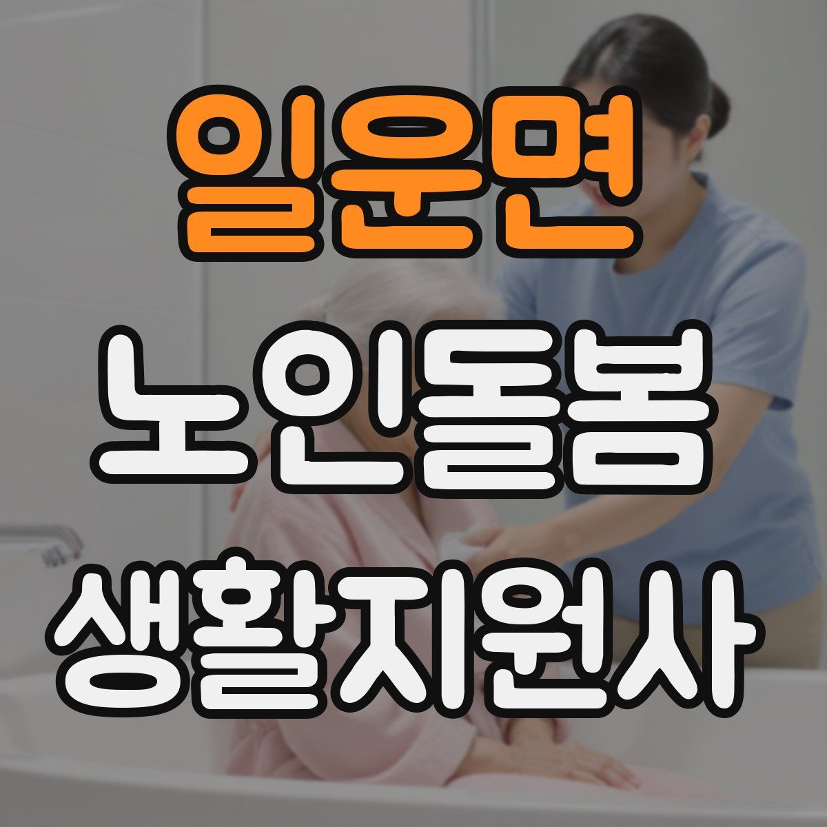일운면 노인돌봄생활지원사 자격증
