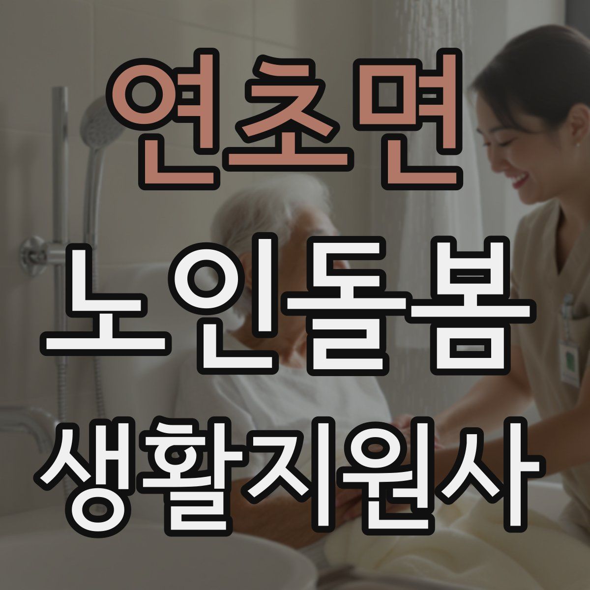 연초면 노인돌봄생활지원사 자격증