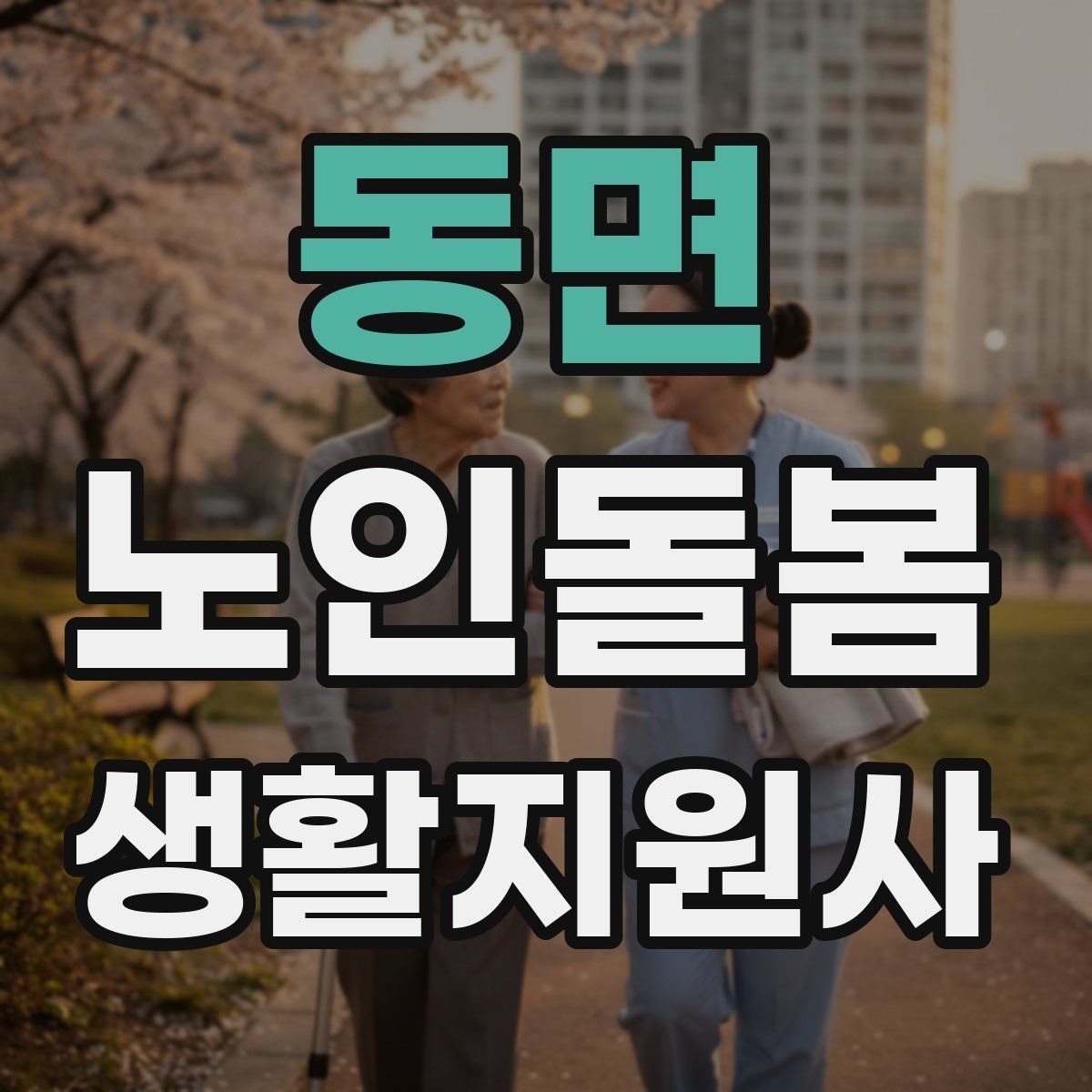 동면 노인돌봄생활지원사 자격증 방문 동선 파악이 중요한 이유