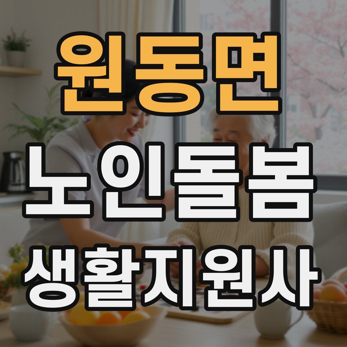 원동면 노인돌봄생활지원사 자격증