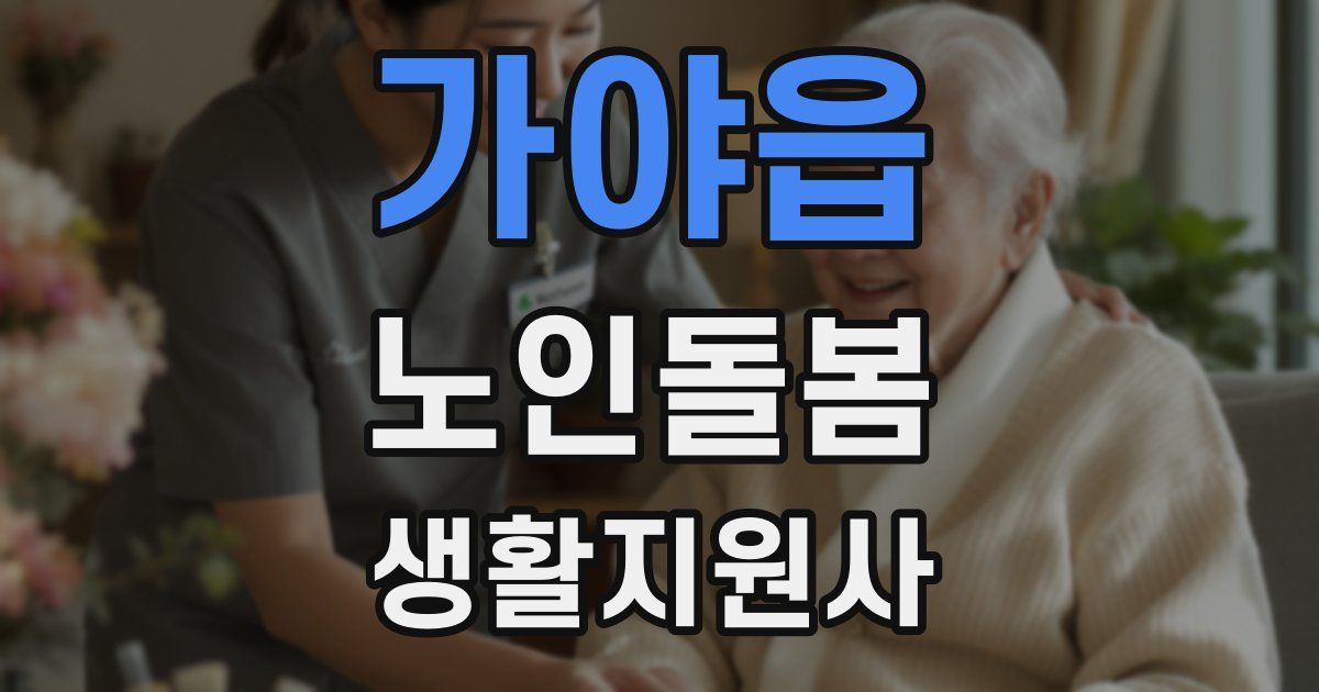 가야읍 노인돌봄생활지원사 자격증
