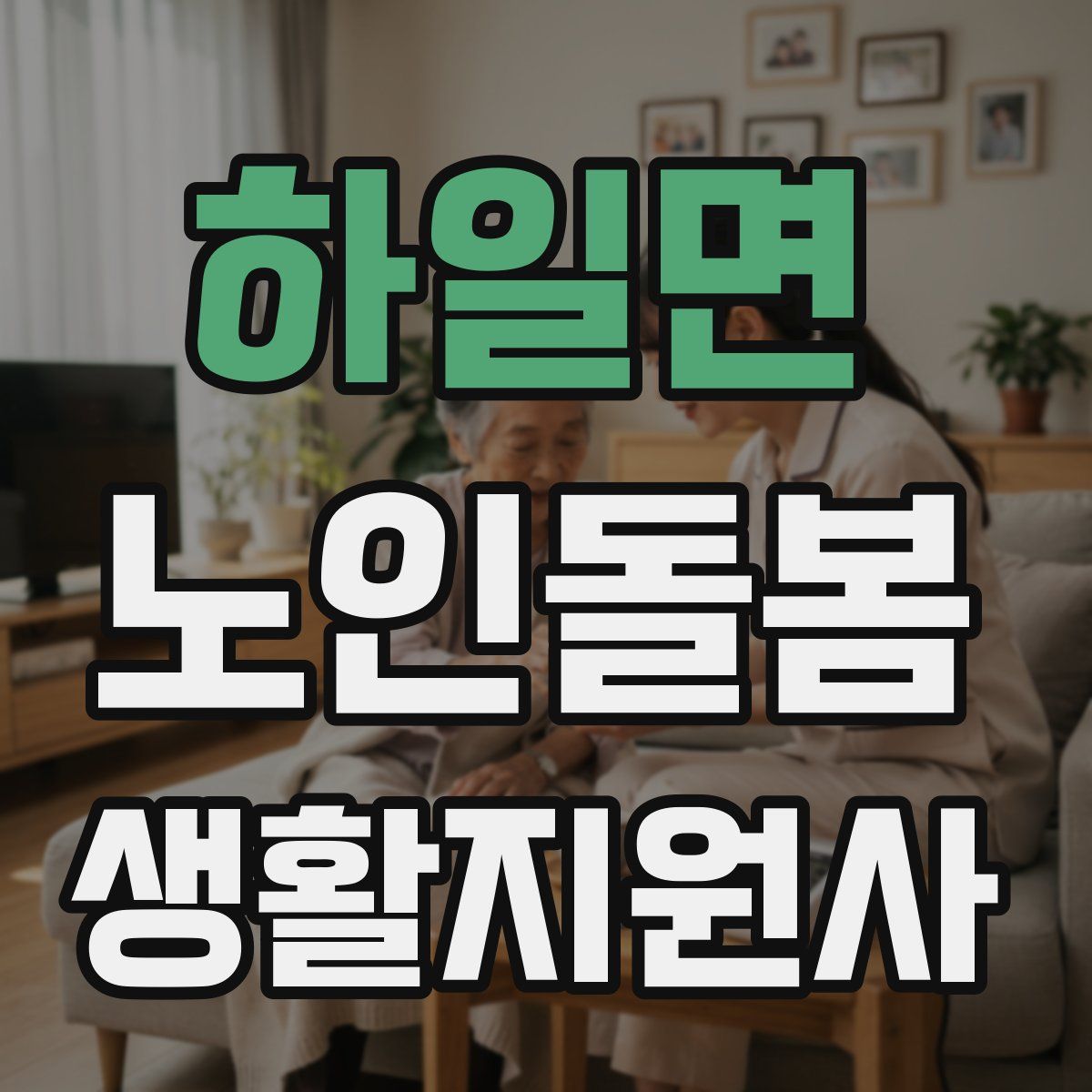 하일면 노인돌봄생활지원사 자격증