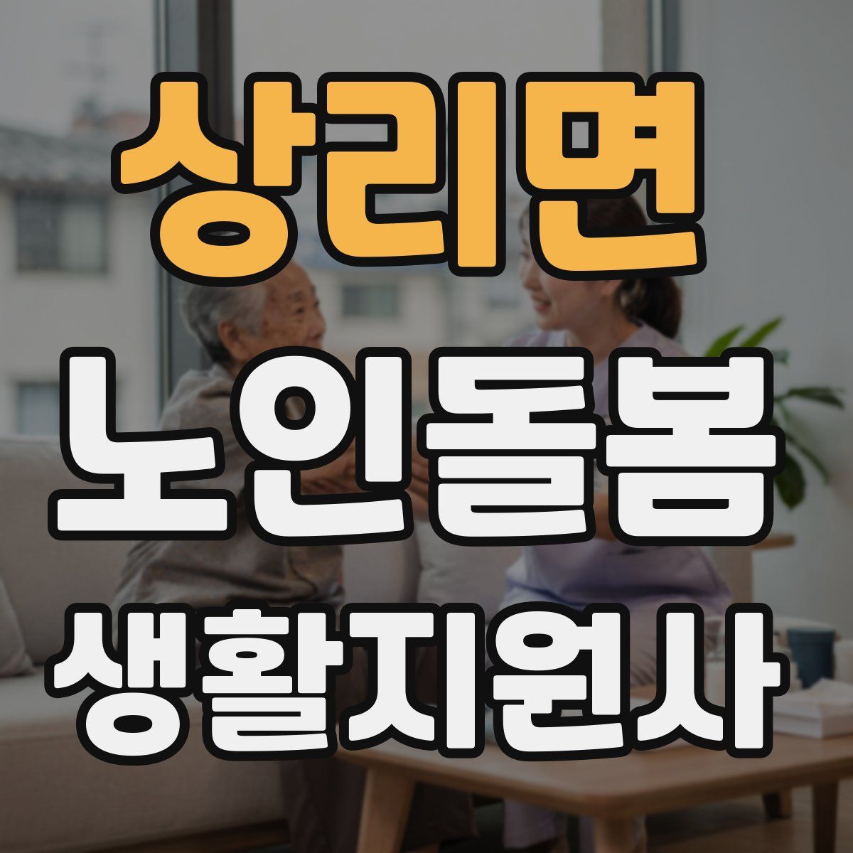 상리면 노인돌봄생활지원사 자격증