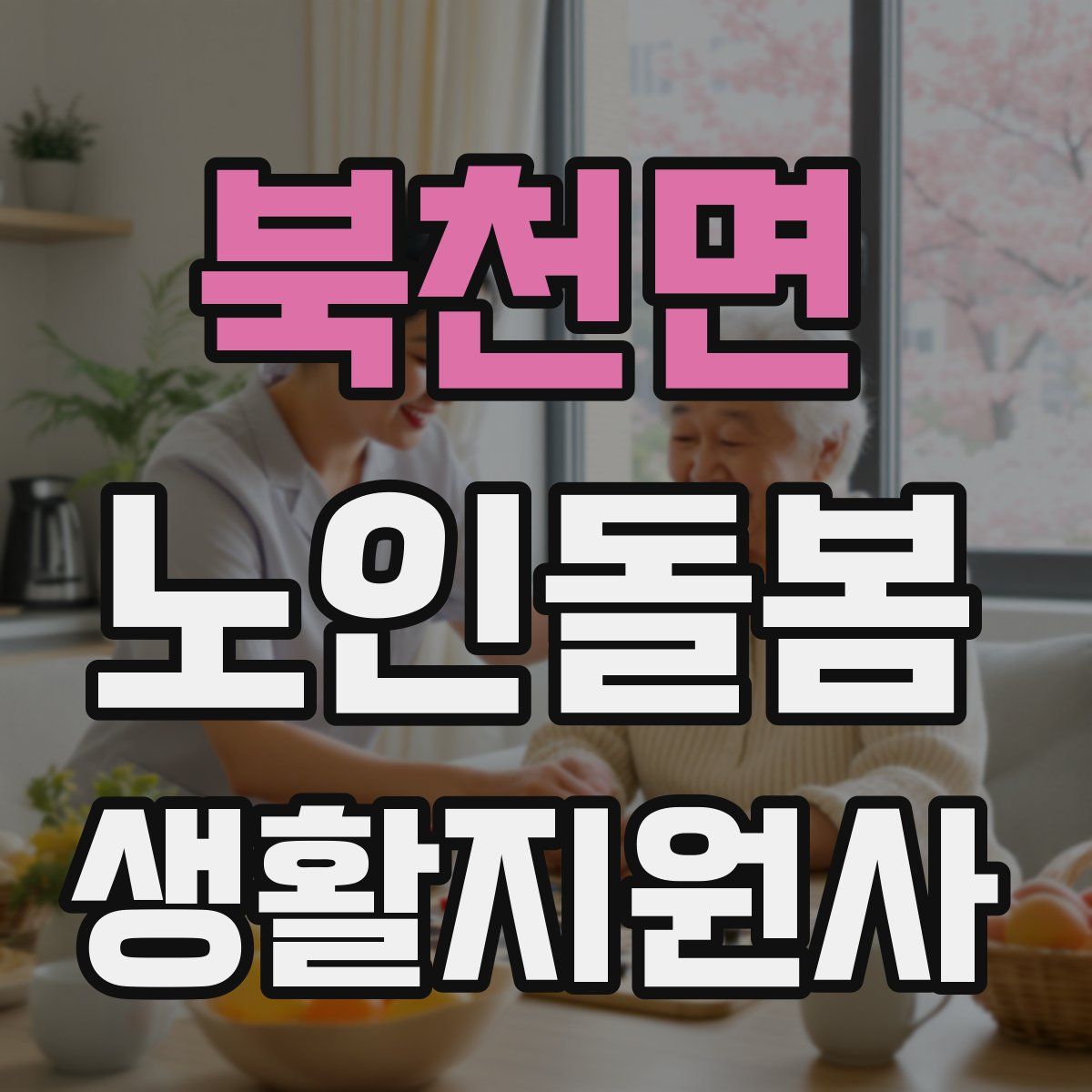북천면 노인돌봄생활지원사 자격증