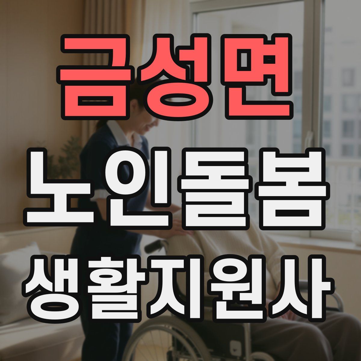 금성면 노인돌봄생활지원사 자격증