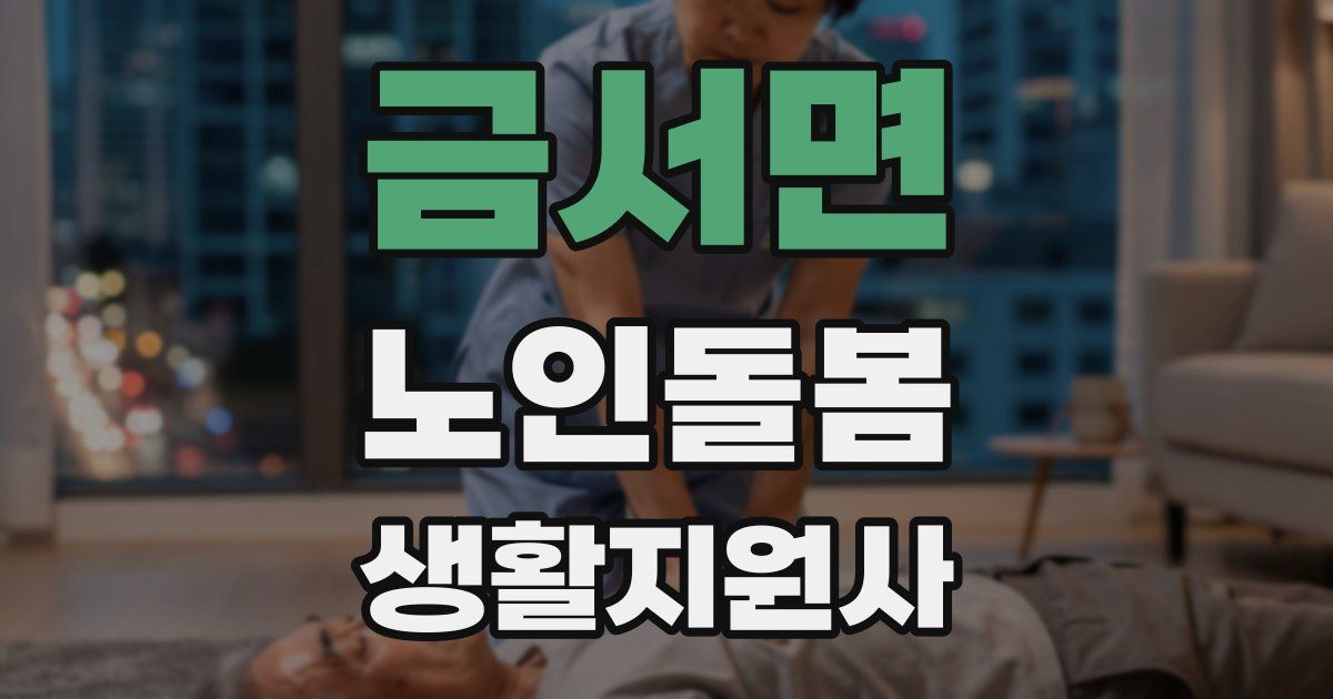금서면 노인돌봄생활지원사 자격증
