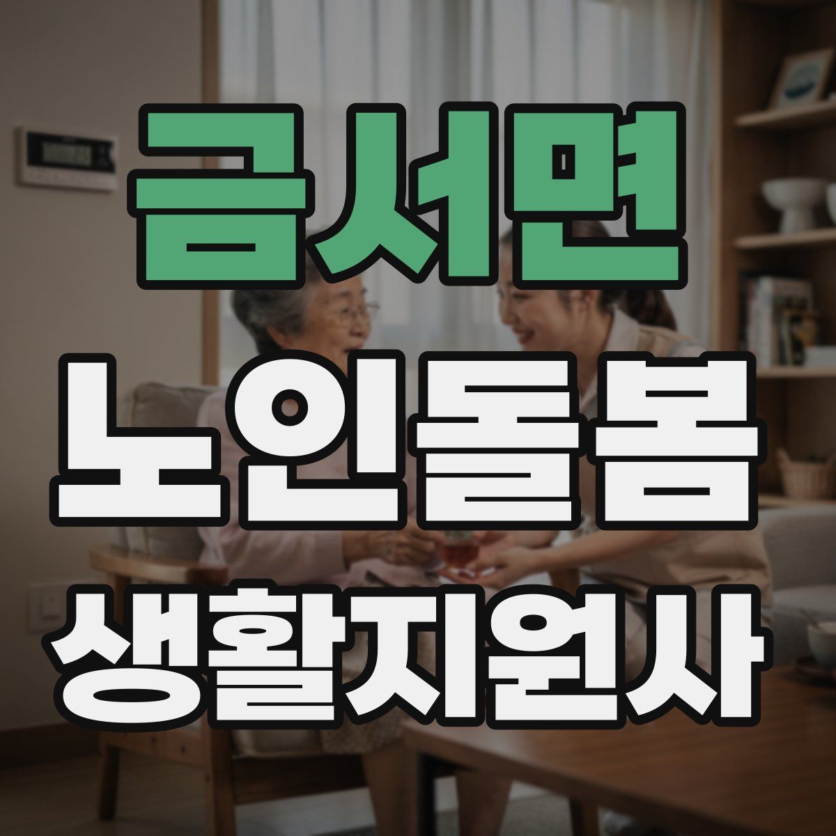 금서면 노인돌봄생활지원사 자격증