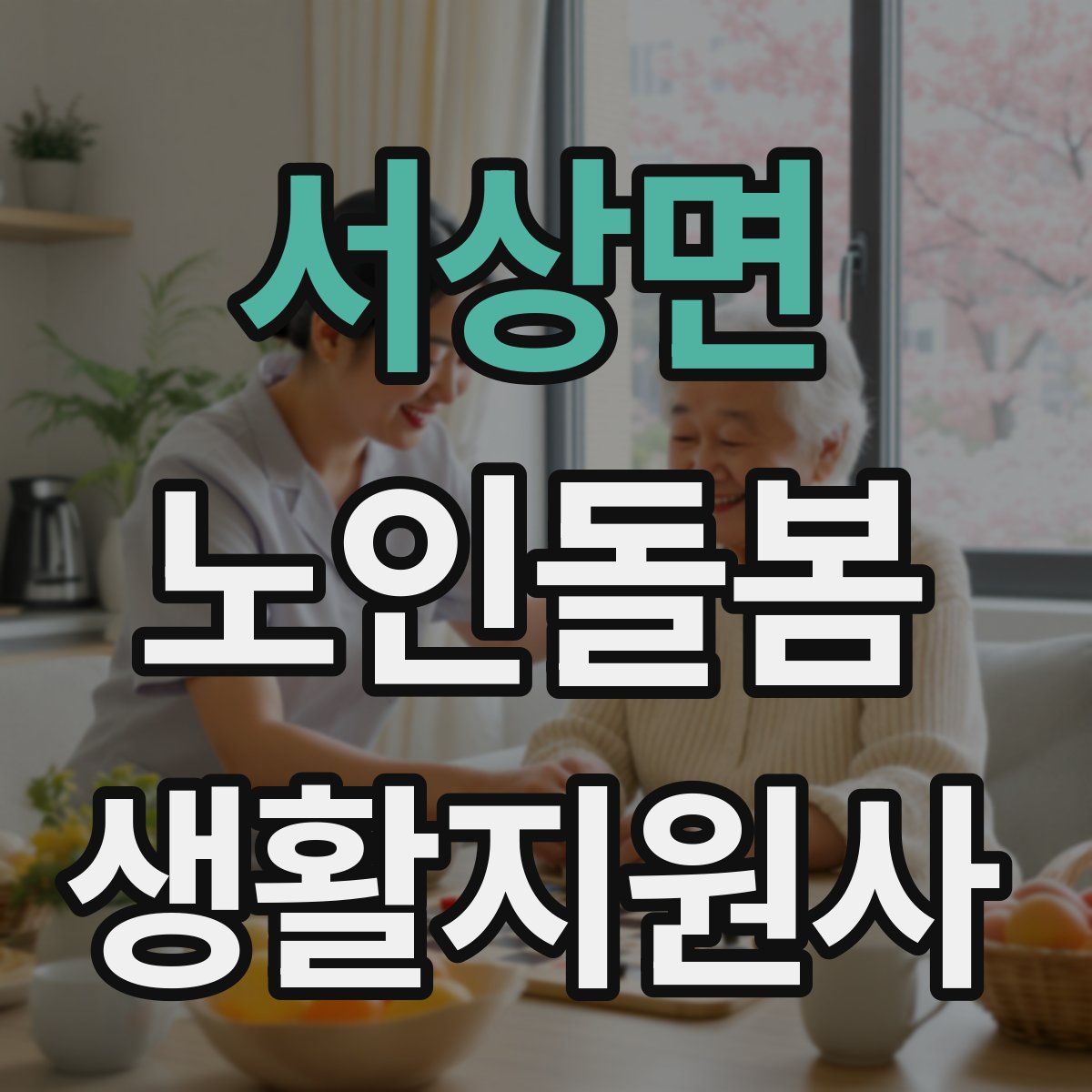 서상면 노인돌봄생활지원사 자격증