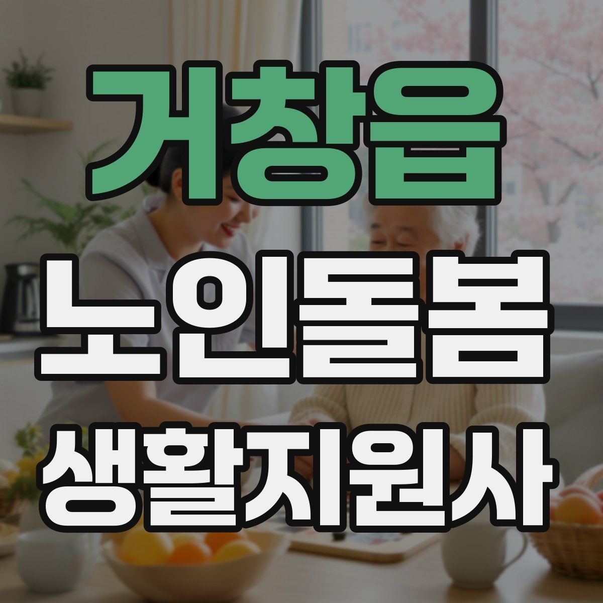 거창읍 노인돌봄생활지원사 자격증