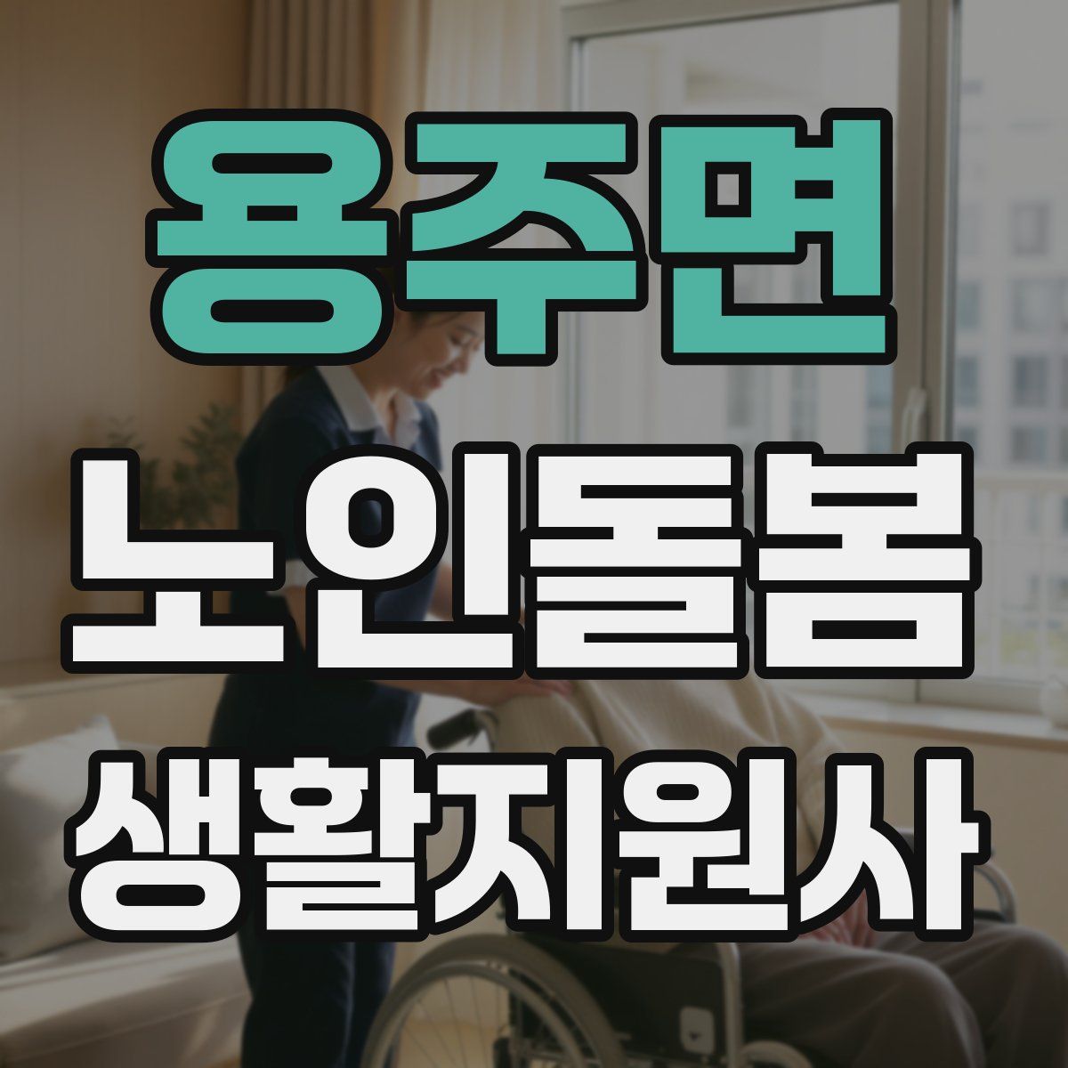 용주면 노인돌봄생활지원사 자격증