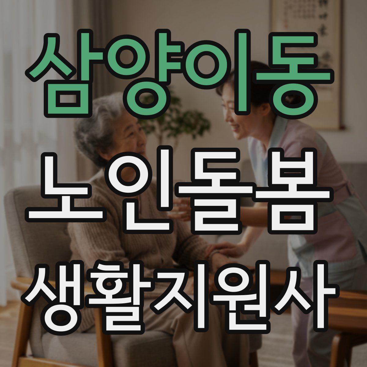 삼양이동 노인돌봄생활지원사 자격증