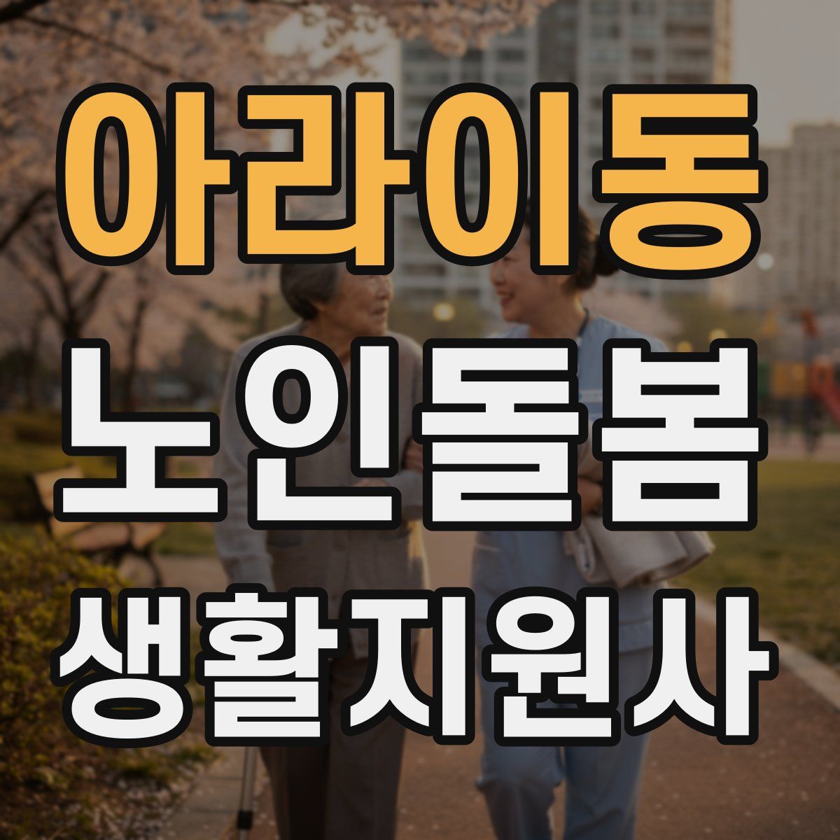 아라이동 노인돌봄생활지원사 자격증