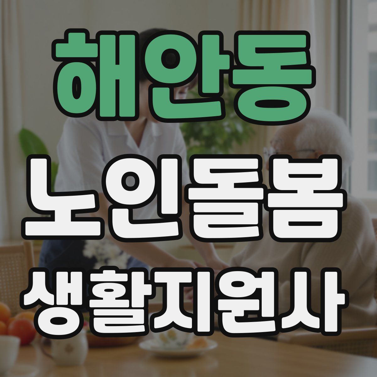 해안동 노인돌봄생활지원사 자격증