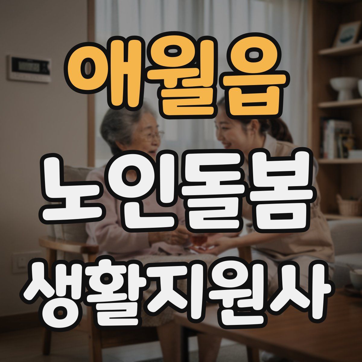 애월읍 노인돌봄생활지원사 자격증