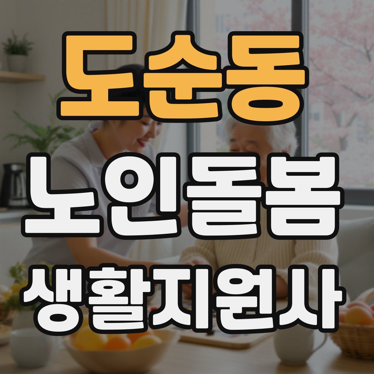 도순동 노인돌봄생활지원사 자격증