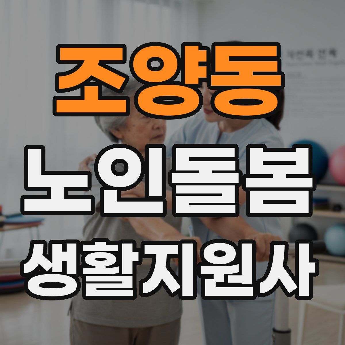 조양동 노인돌봄생활지원사 자격증