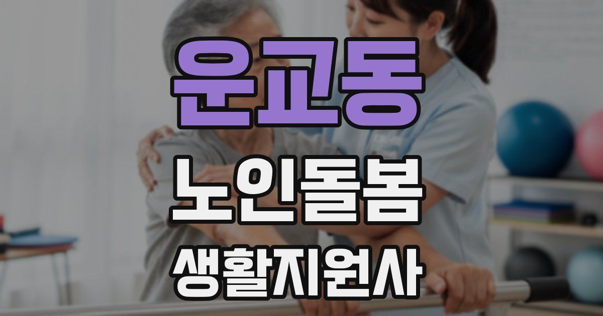 운교동 노인돌봄생활지원사 자격증