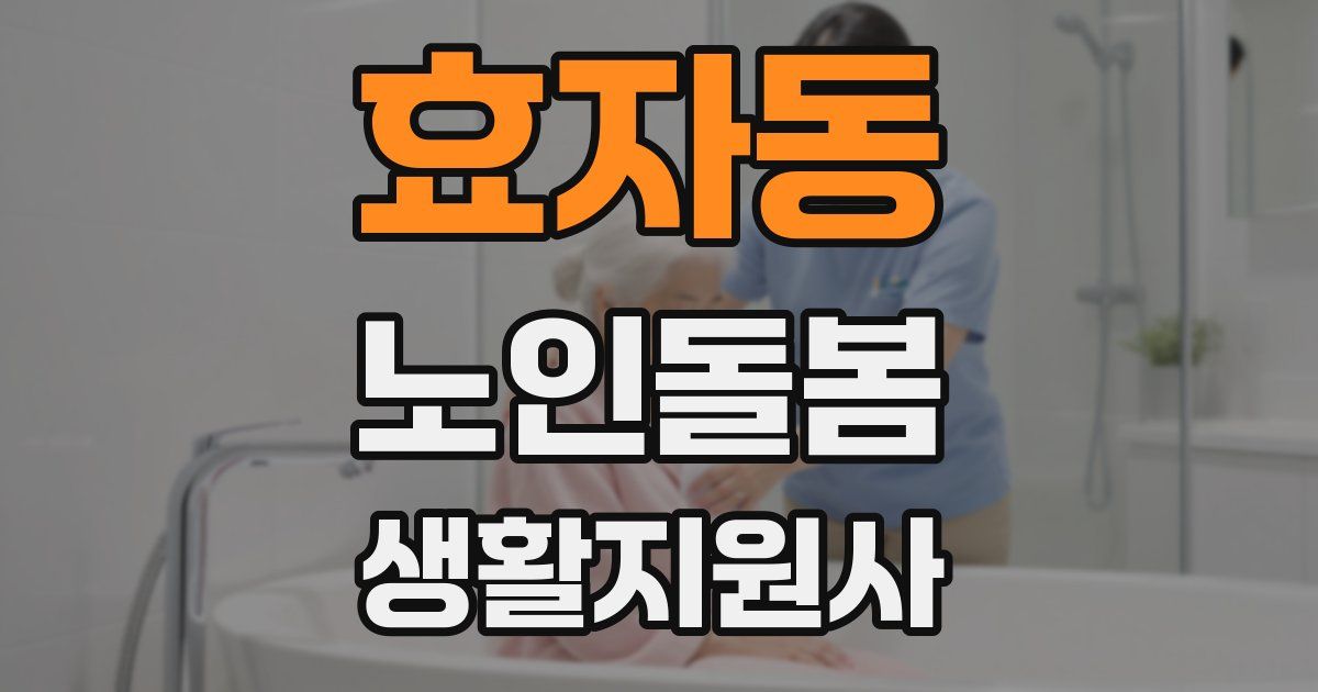 효자동 노인돌봄생활지원사 자격증