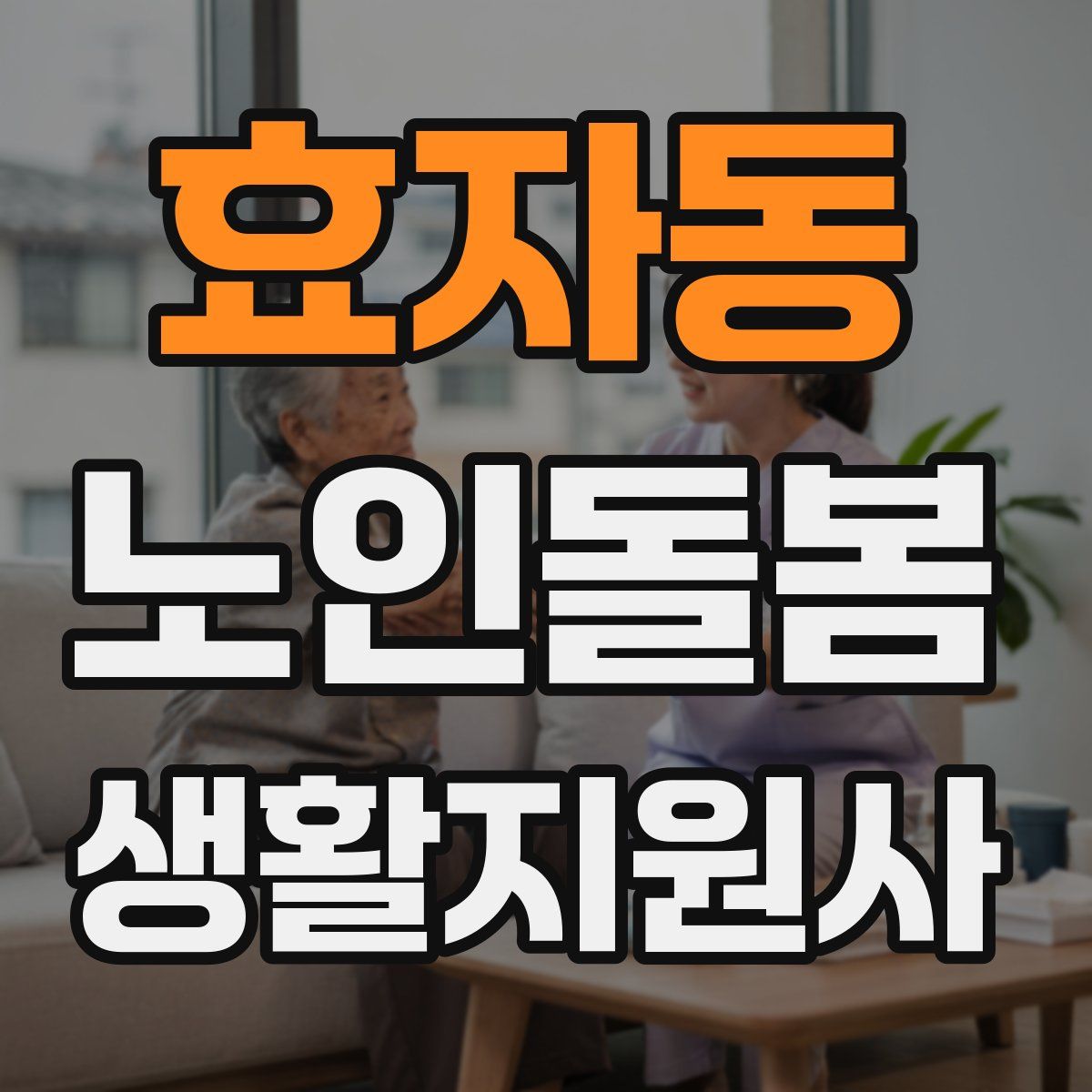 효자동 노인돌봄생활지원사 자격증