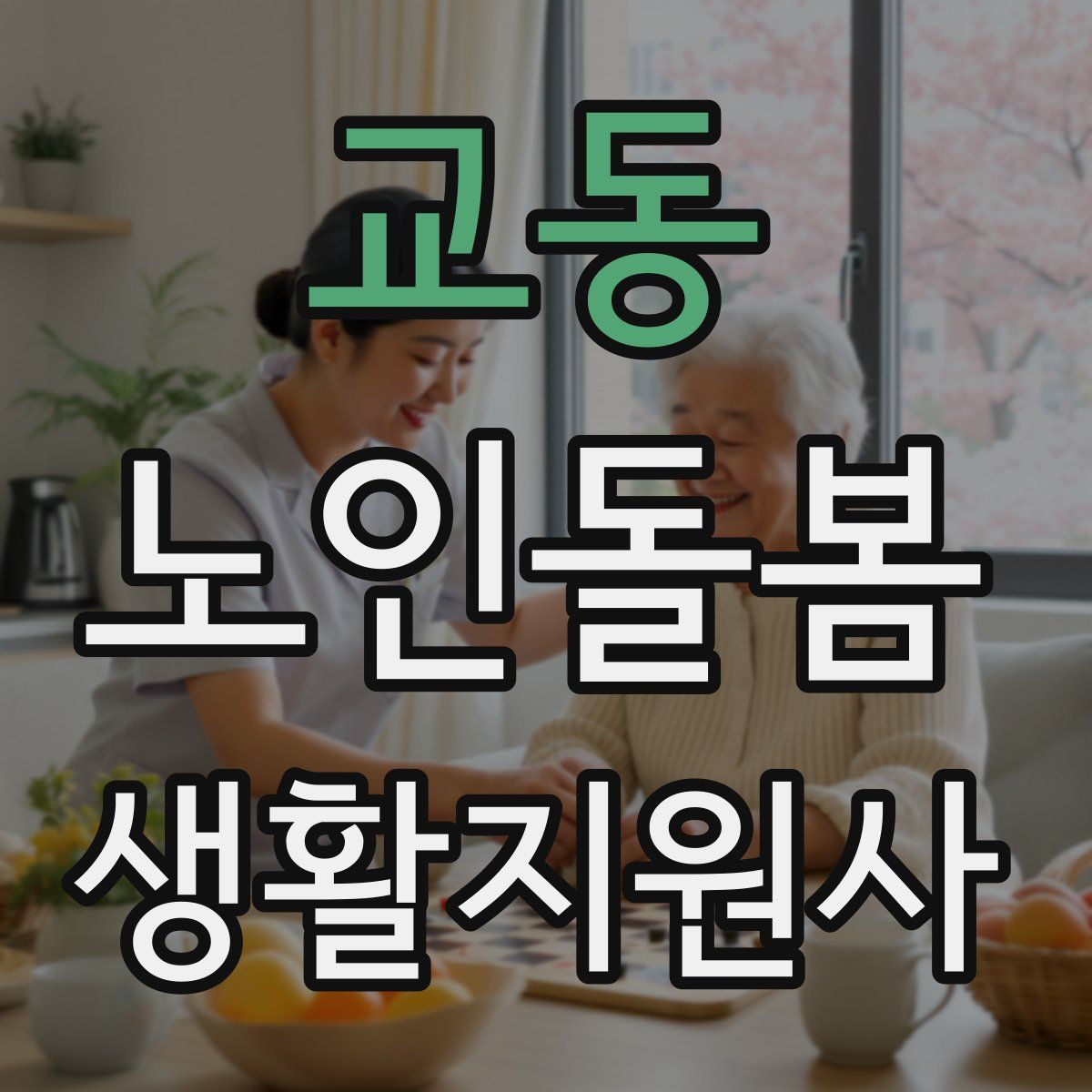 교동 노인돌봄생활지원사 자격증