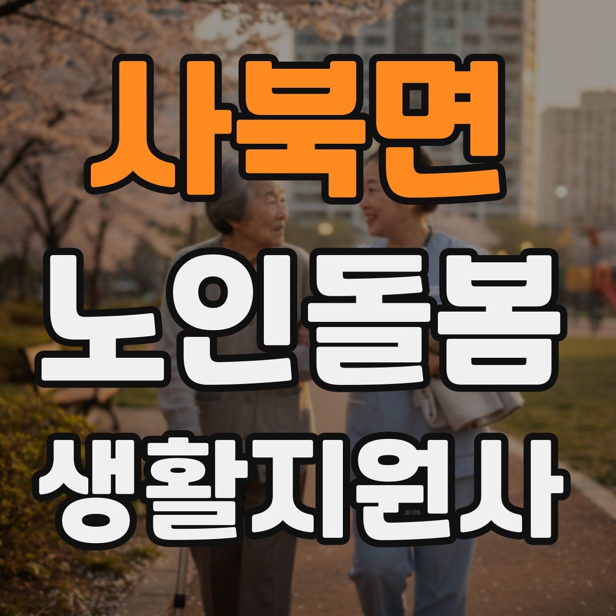 사북면 노인돌봄생활지원사 자격증