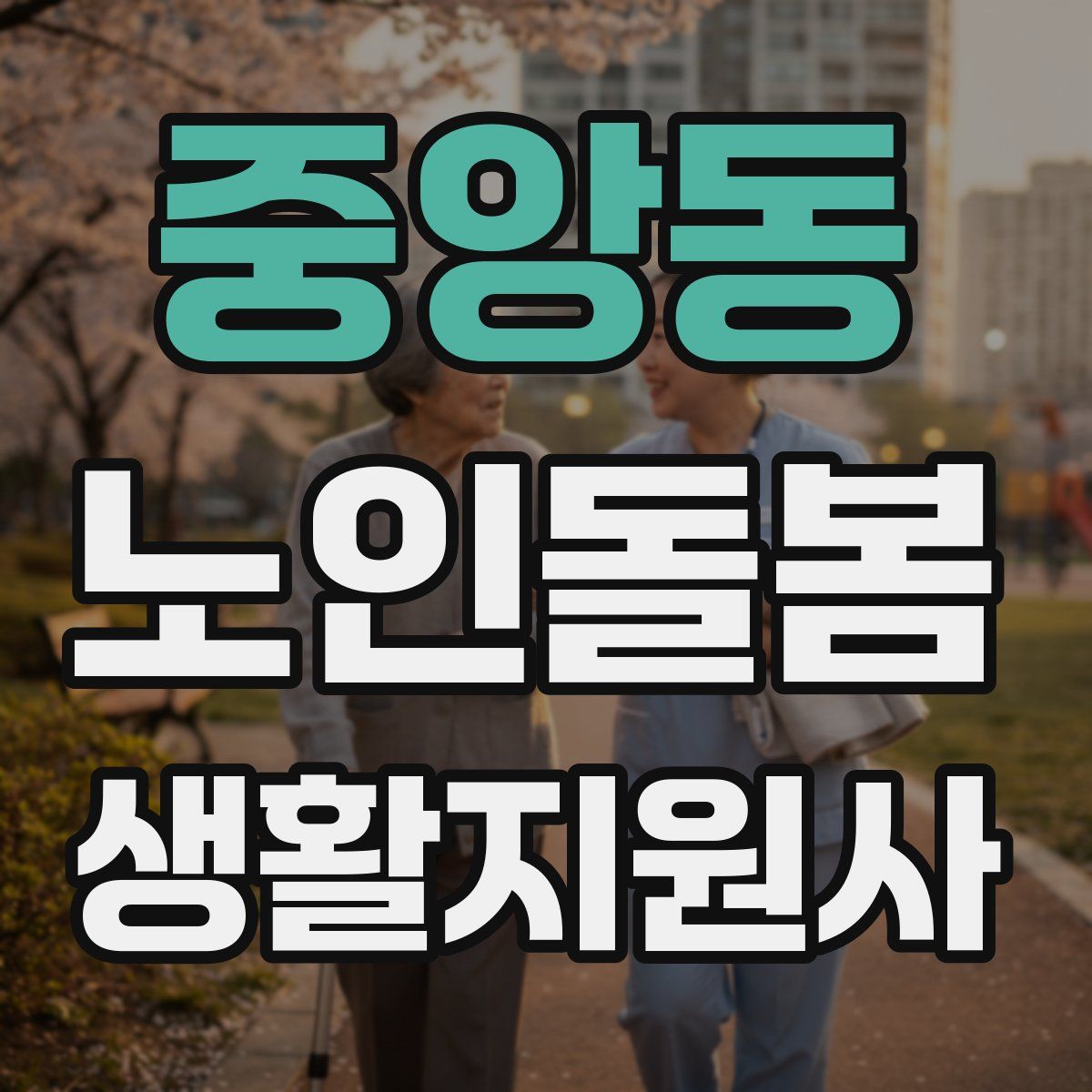 중앙동 노인돌봄생활지원사 자격증
