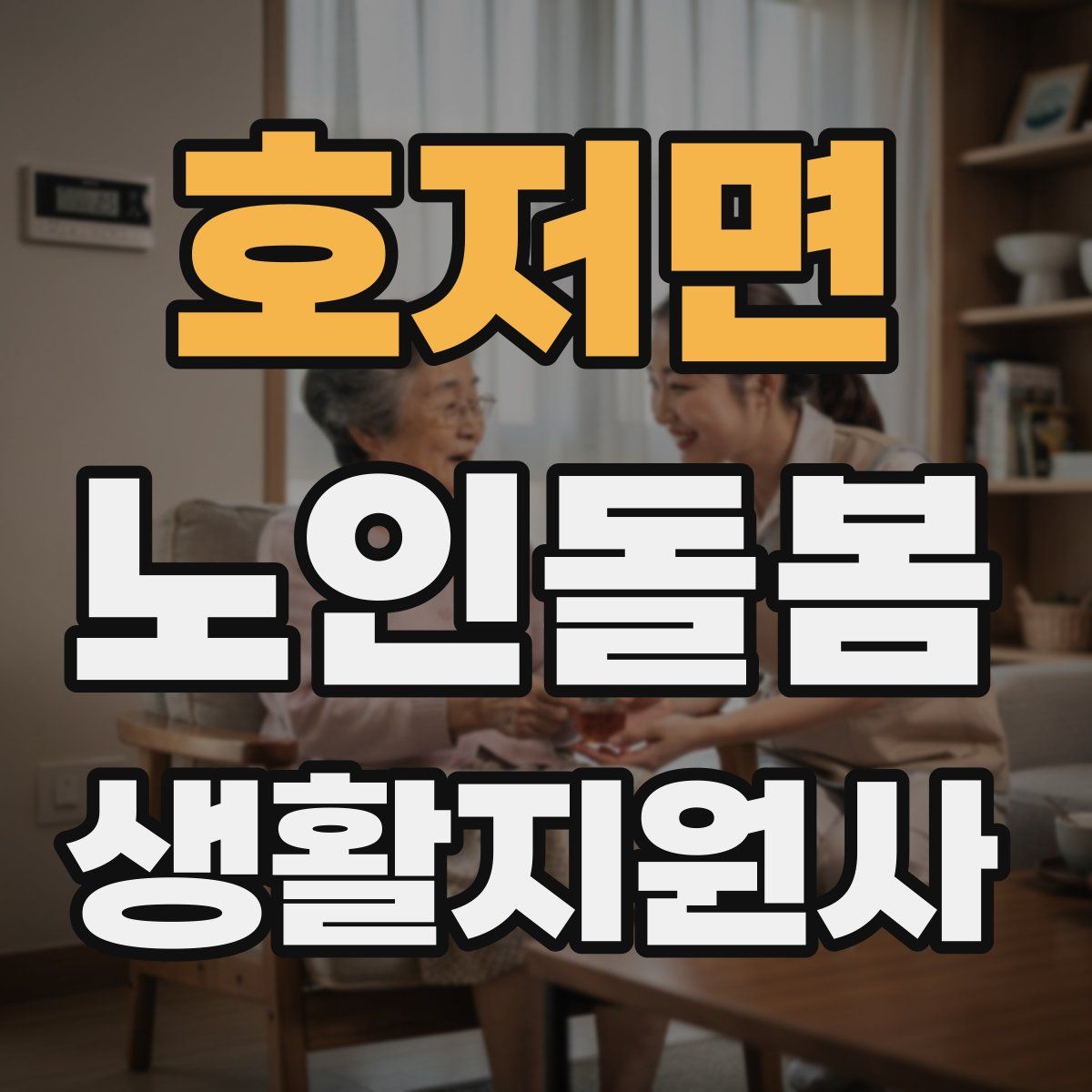 호저면 노인돌봄생활지원사 자격증