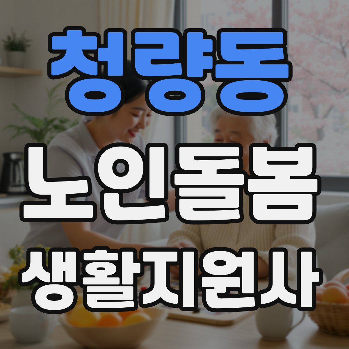 청량동 노인돌봄생활지원사 자격증