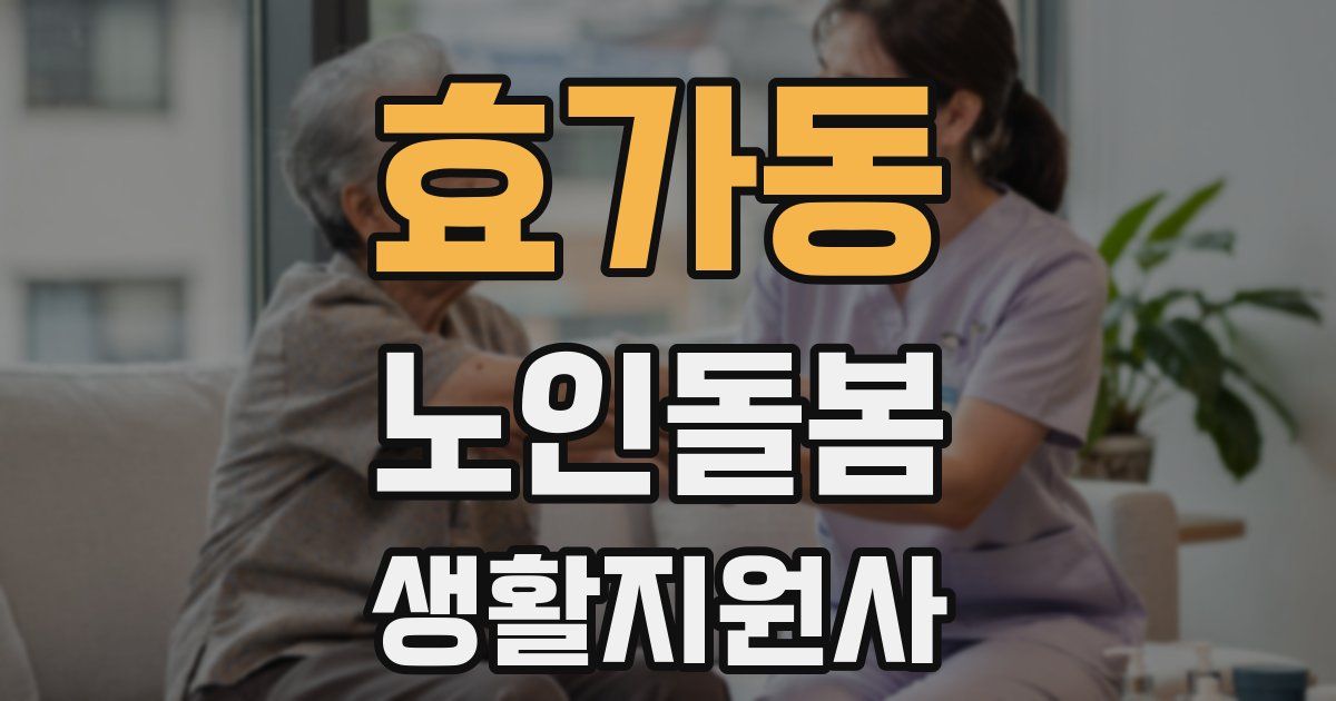 효가동 노인돌봄생활지원사 자격증