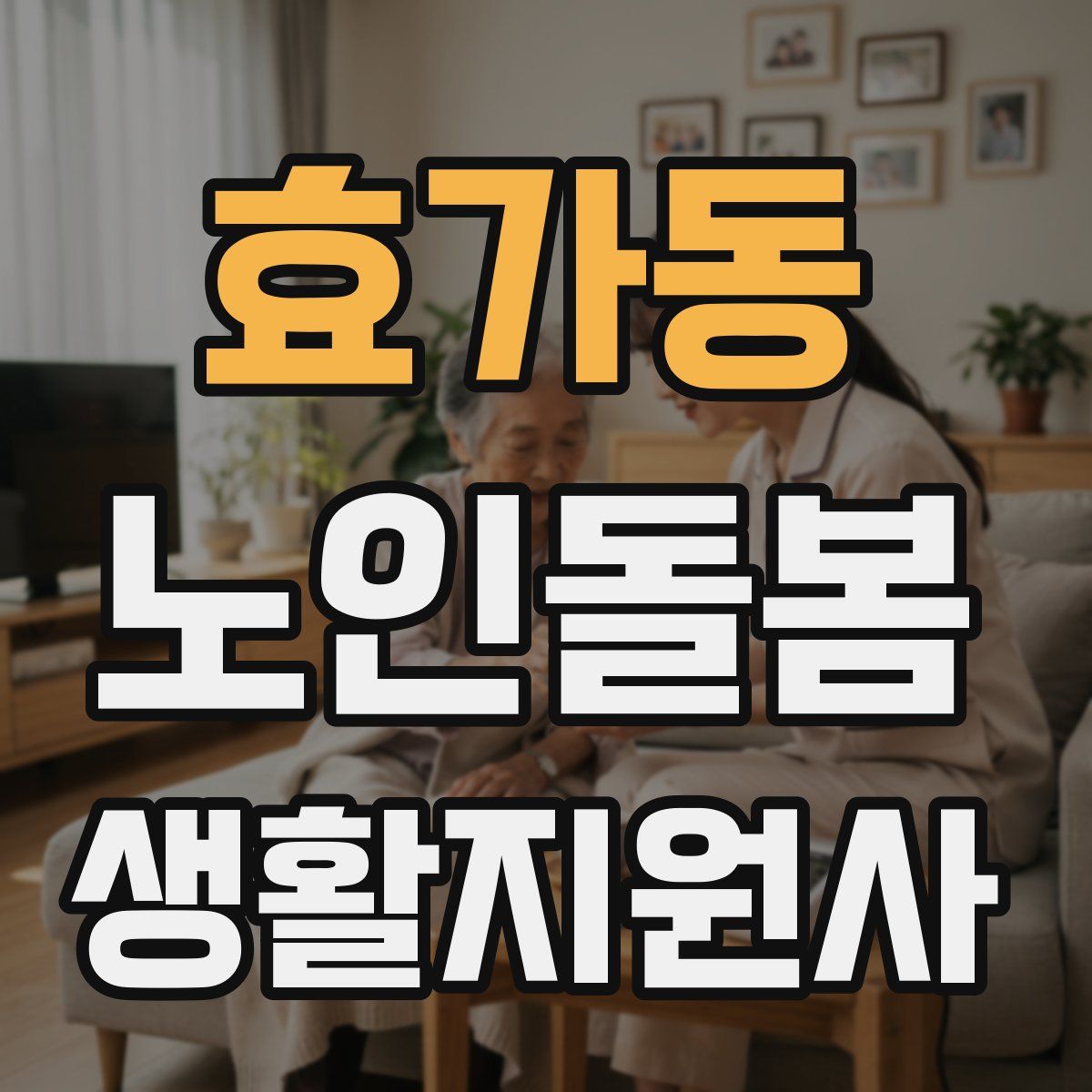 효가동 노인돌봄생활지원사 자격증