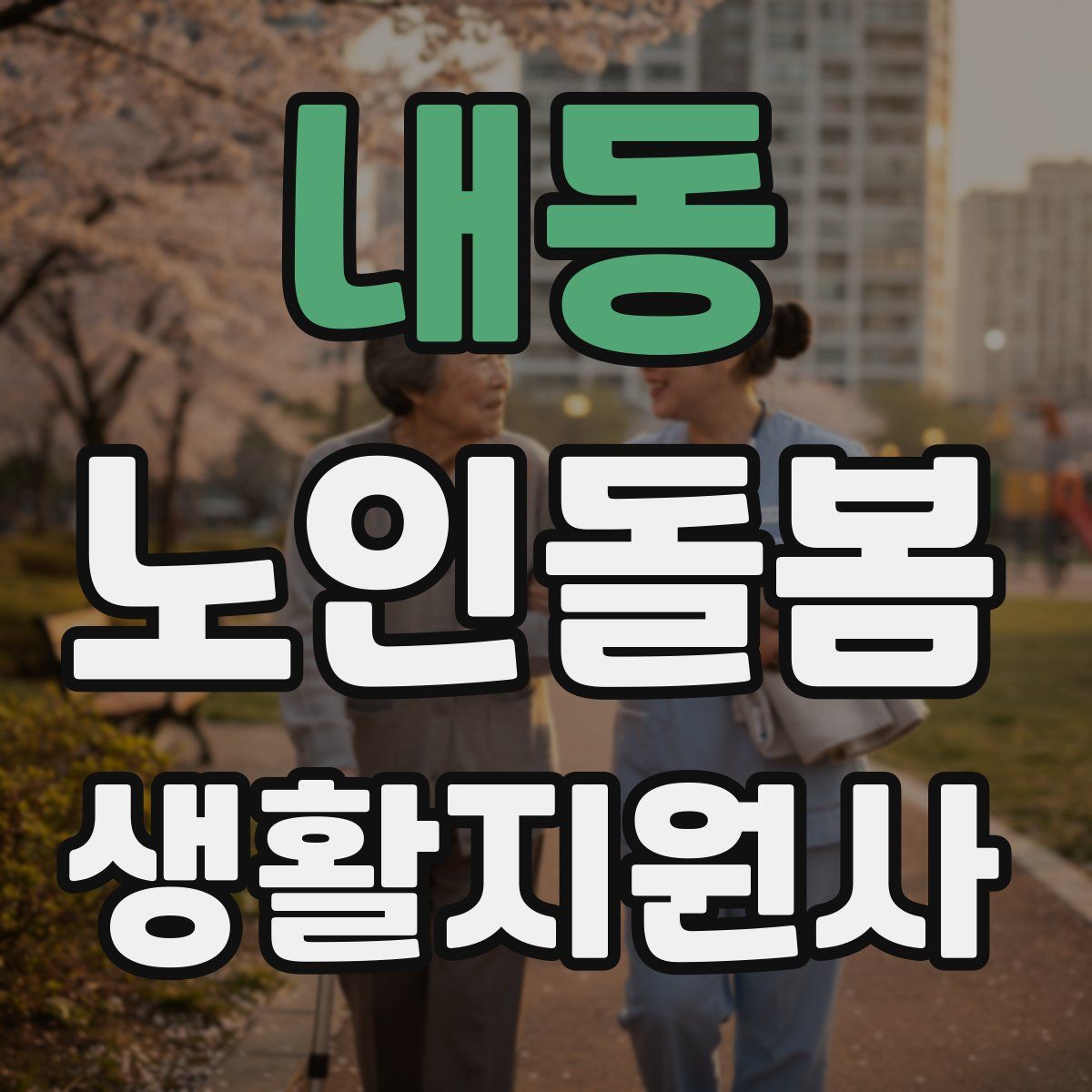 내동 노인돌봄생활지원사 자격증