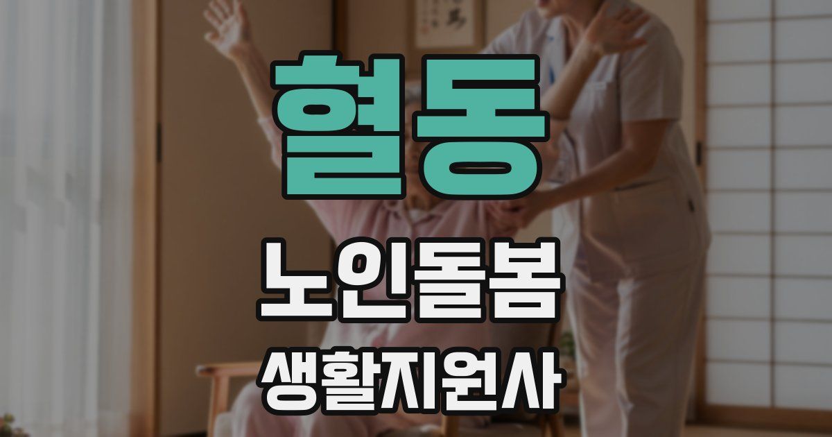 혈동 노인돌봄생활지원사 자격증