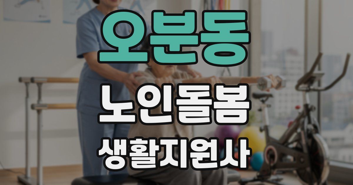 오분동 노인돌봄생활지원사 자격증
