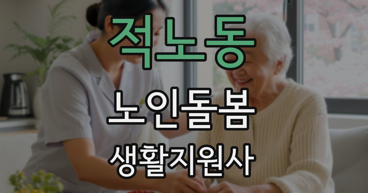 적노동 노인돌봄생활지원사 자격증
