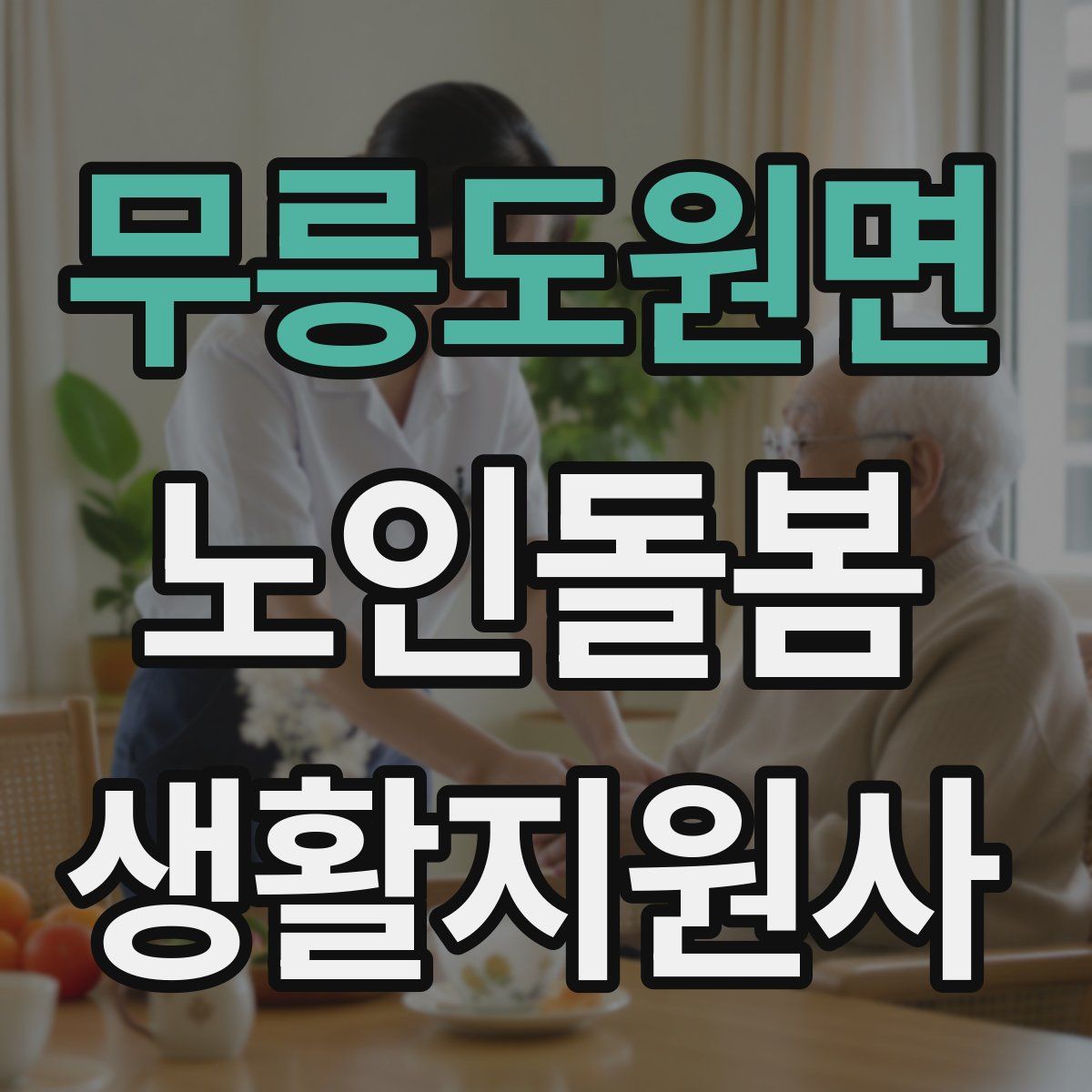 무릉도원면 노인돌봄생활지원사 자격증