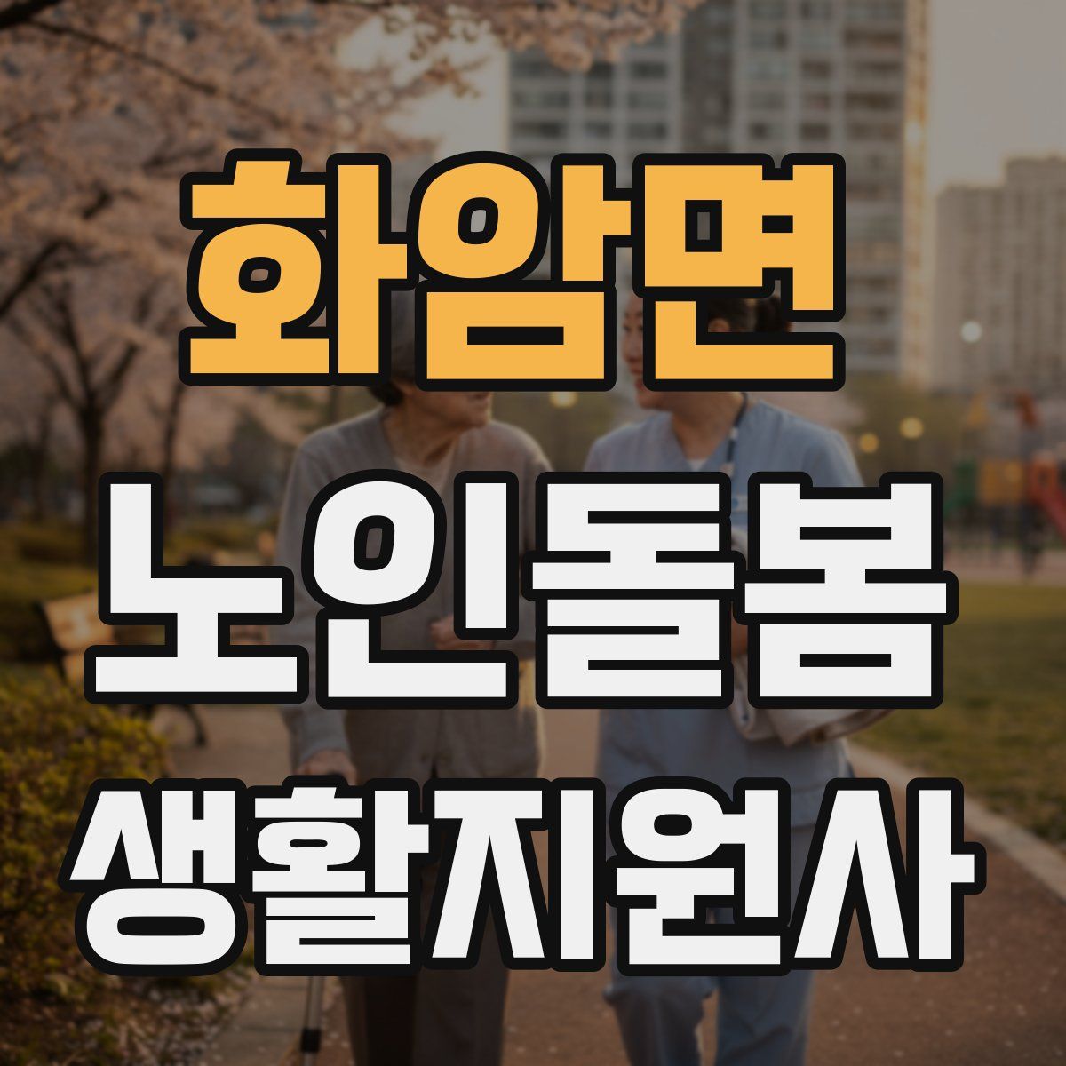 화암면 노인돌봄생활지원사 자격증
