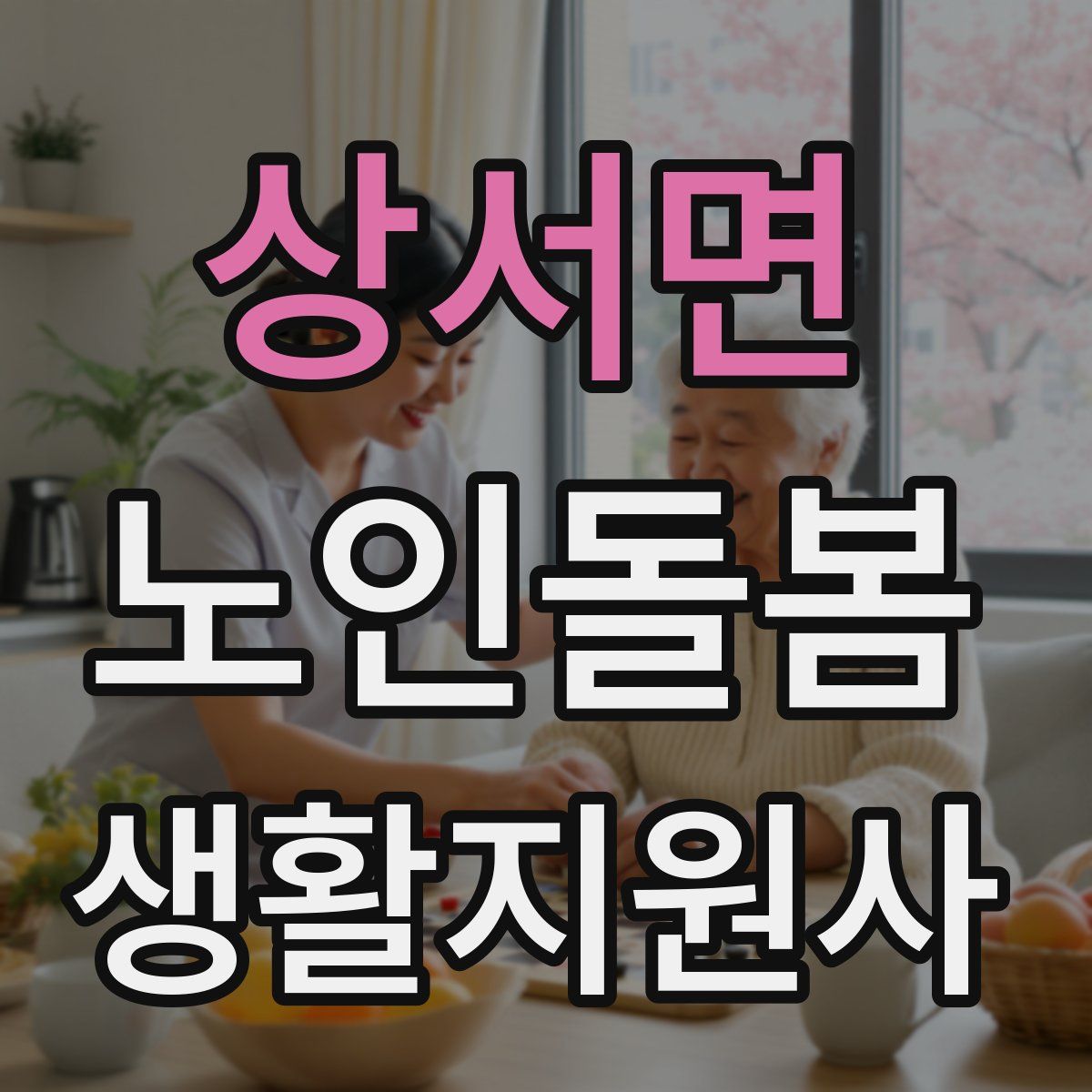 상서면 노인돌봄생활지원사 자격증