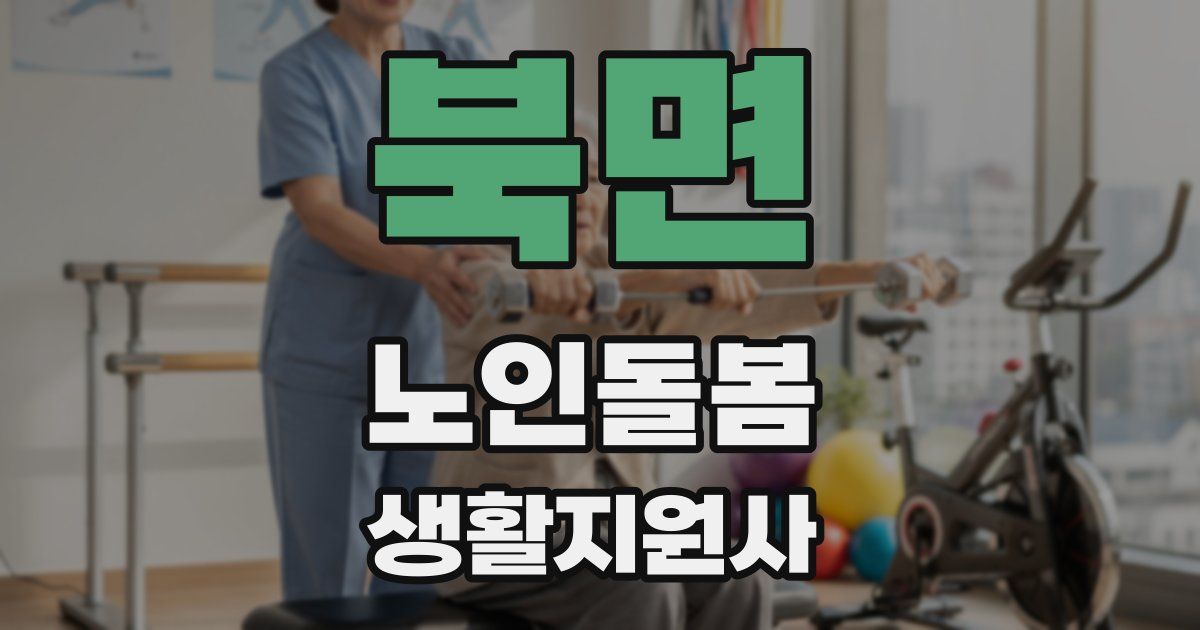 북면 노인돌봄생활지원사 자격증