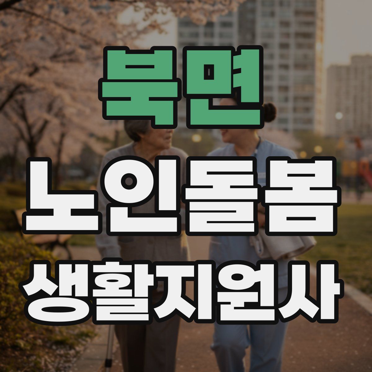 북면 노인돌봄생활지원사 자격증