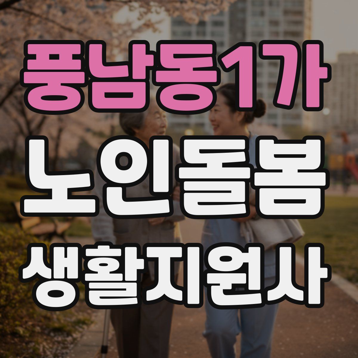 풍남동1가 노인돌봄생활지원사 자격증