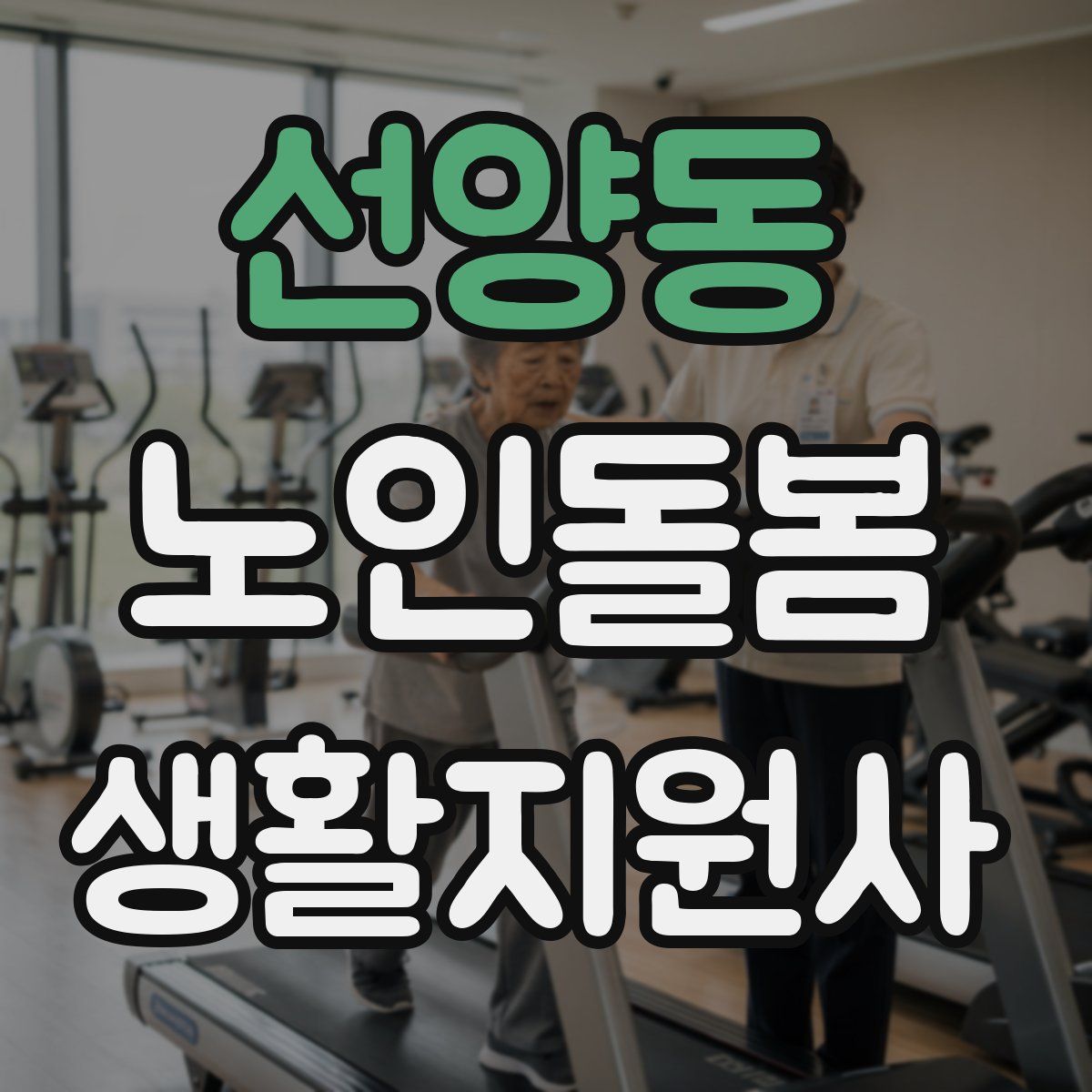 선양동 노인돌봄생활지원사 자격증