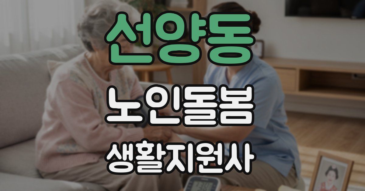 선양동 노인돌봄생활지원사 자격증
