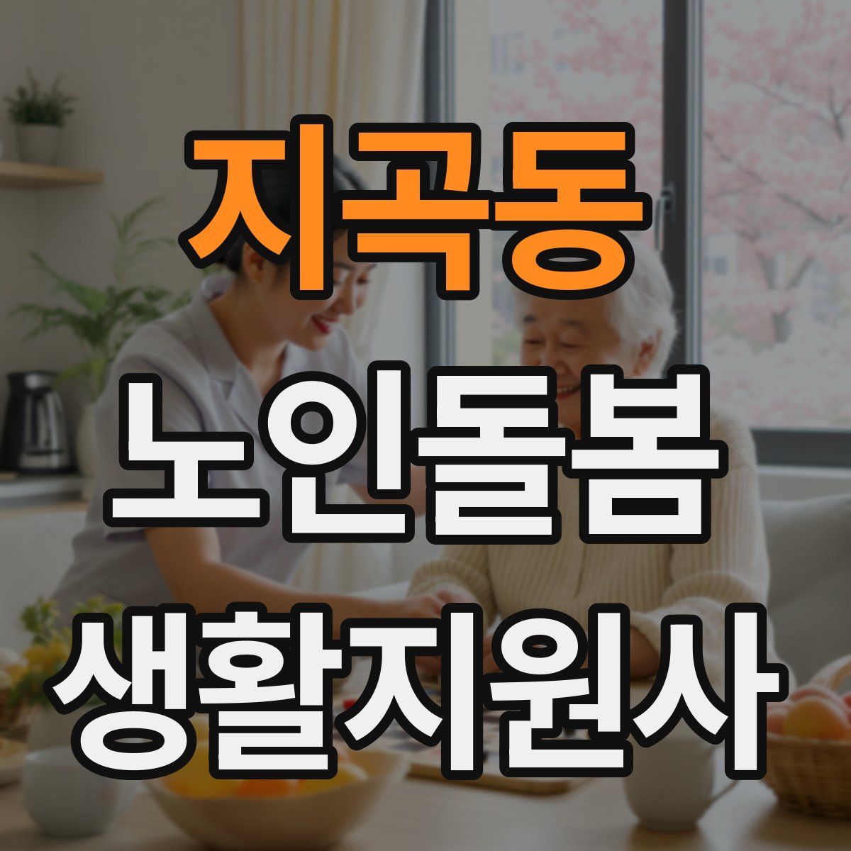 지곡동 노인돌봄생활지원사 자격증