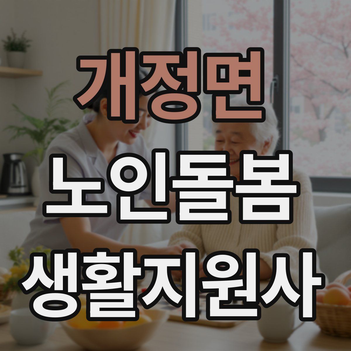개정면 노인돌봄생활지원사 자격증