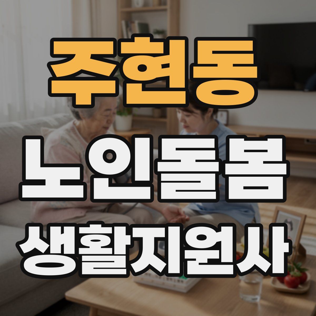 주현동 노인돌봄생활지원사 자격증