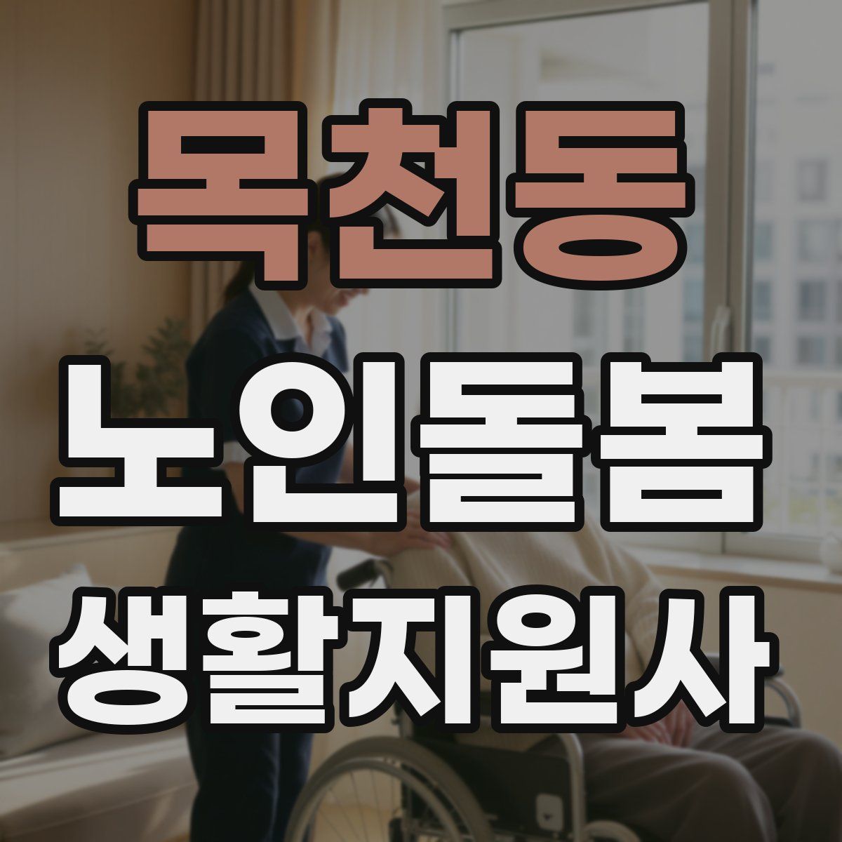 목천동 노인돌봄생활지원사 자격증