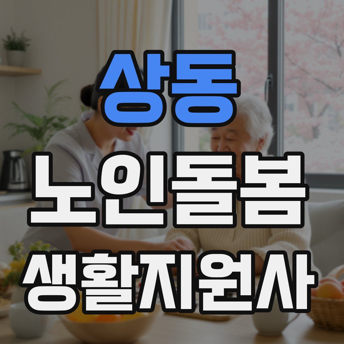 상동 노인돌봄생활지원사 자격증