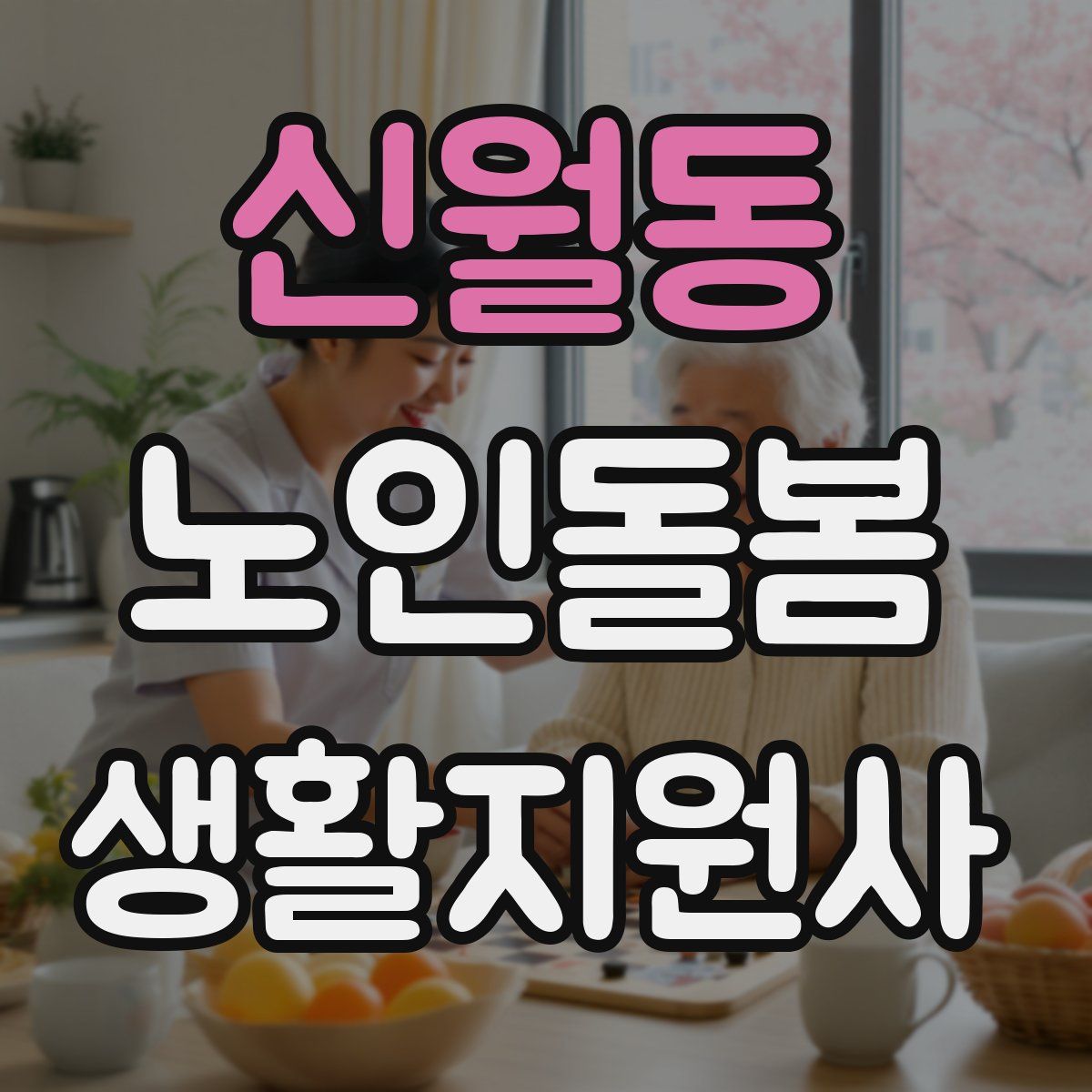 신월동 노인돌봄생활지원사 자격증