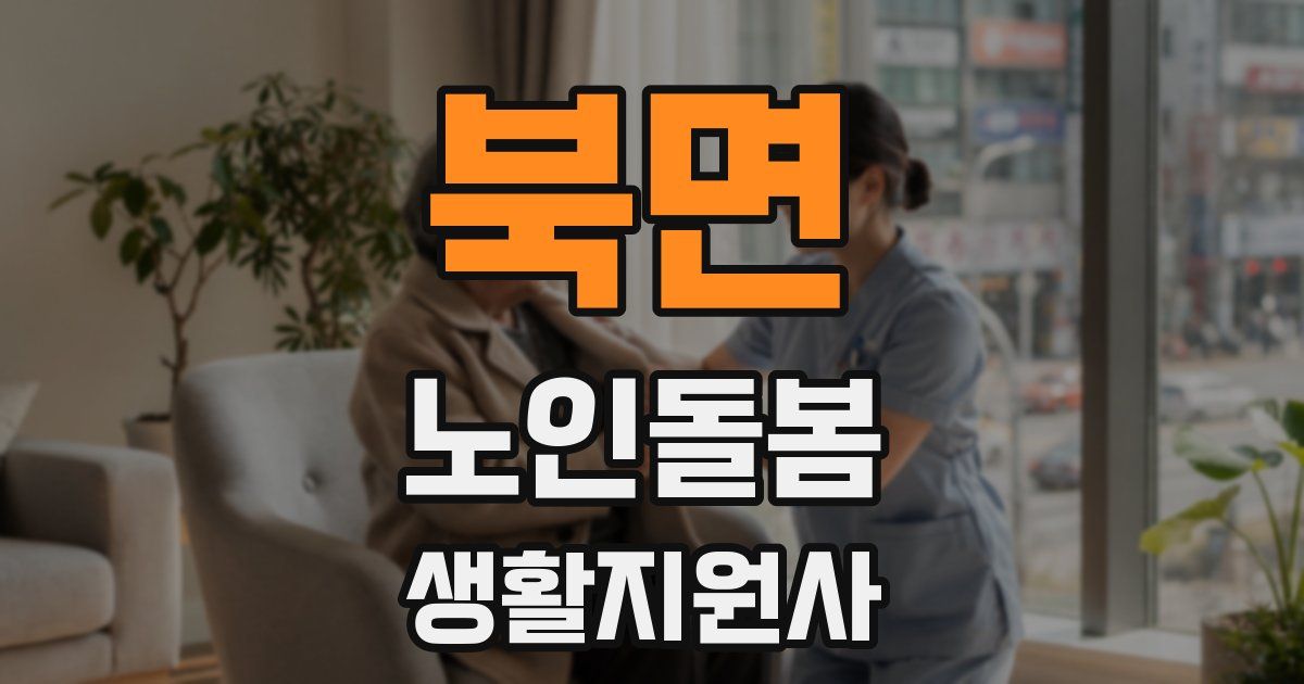 북면 노인돌봄생활지원사 자격증